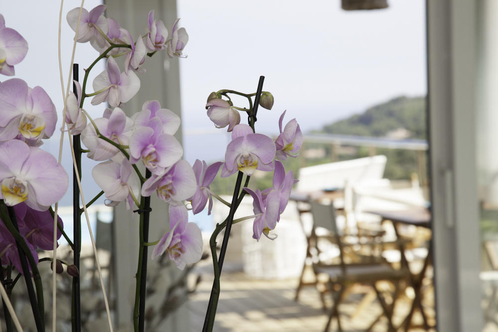 Es Cel De Begur Hotel Стая снимка